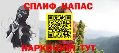 сатива Можга