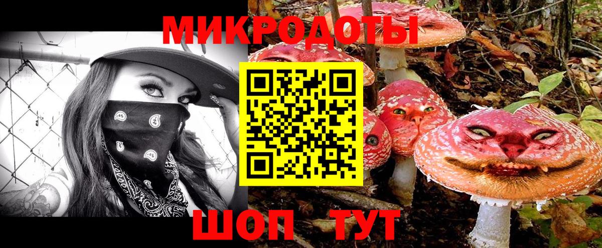 Ртищево  как найти наркотики  Вход с VPN  Псилоцибиновые грибы MAGIC MUSHROOMS 
